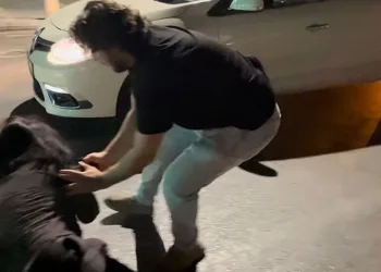 Gazeteci ve polislere hakaret eden şahıslar adliyeye sevk edildi