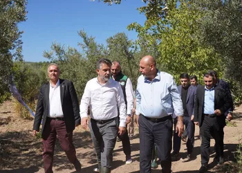 Başkan Aydın, Gemlik’te Zeytin Hasat Sezonunun Açılışına Katıldı