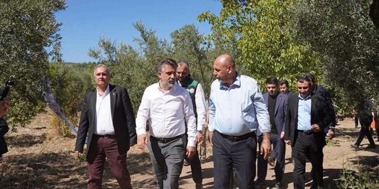 Başkan Aydın, Gemlik’te Zeytin Hasat Sezonunun Açılışına Katıldı