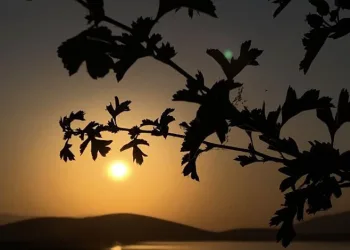 Patnos Barajı’nda gün batımı görsel şölen oluşturdu