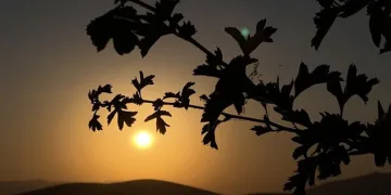 Patnos Barajı’nda gün batımı görsel şölen oluşturdu