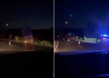 Karacabey’de kamyonet ağaçlara çarptı