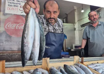 Sezonun gözdesi palamut ve hamsi tezgahları şenlendirdi