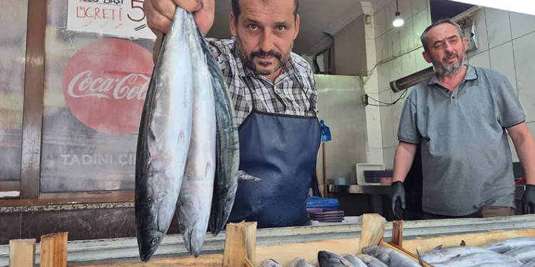 Sezonun gözdesi palamut ve hamsi tezgahları şenlendirdi