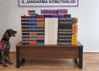 Bolu’da yolcu otobüslerinde kaçak tütün operasyonu