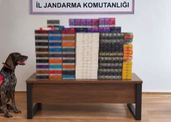 Bolu’da yolcu otobüslerinde kaçak tütün operasyonu
