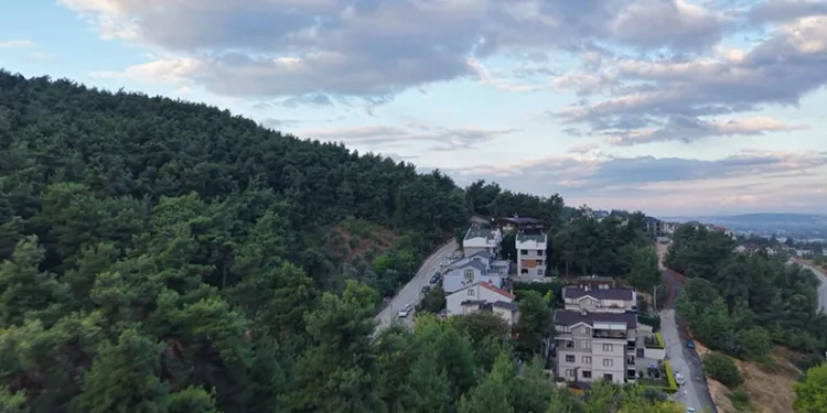 Mahallede ‘Ayı’ korkusu