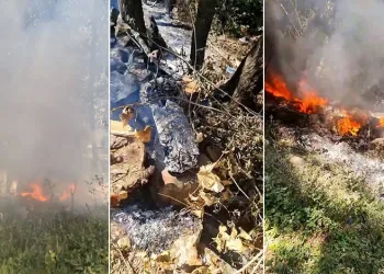 Bursa’da facia vatandaşlar tarafından önlendi