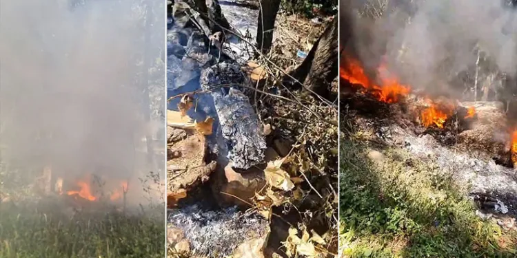 Bursa’da facia vatandaşlar tarafından önlendi