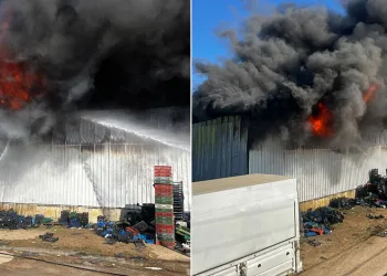 Yenişehir’de soğuk hava deposunda yangın
