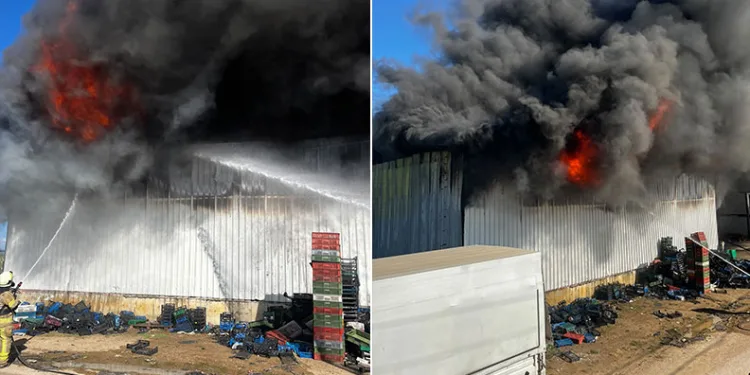 Yenişehir’de soğuk hava deposunda yangın