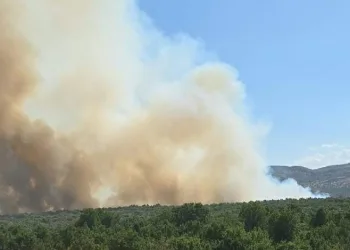 Diyarbakır’da ormanlık alanda yangın