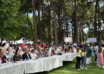 Diyabete karşı güçlü birliktelik