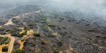 Elazığ’daki orman yangını söndürüldü