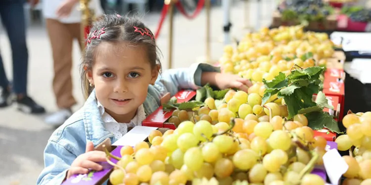 Osmangazi’de Üzüm Bereketi Festivalle Taçlandı