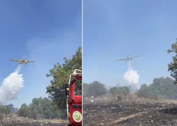 Balıkesir’de orman yangını