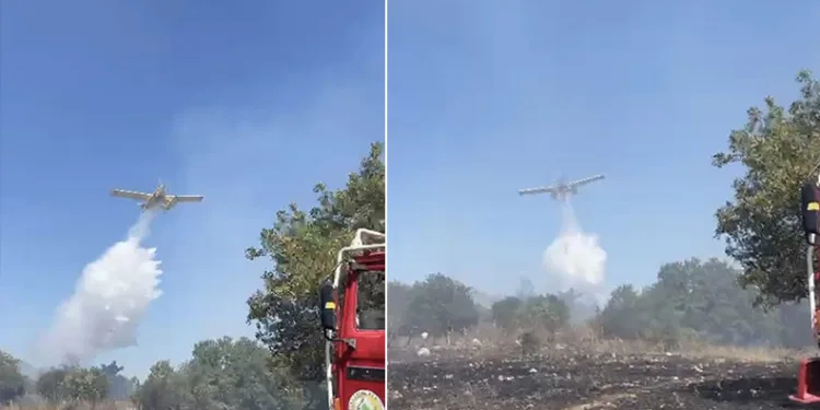 Balıkesir’de orman yangını