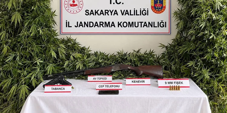 Jandarmadan 3 ilçede uyuşturucu operasyonu: 3 tutuklama