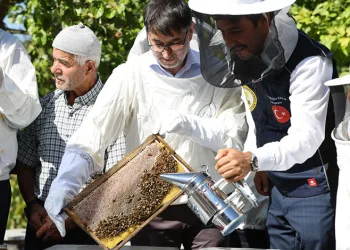 Büyükşehir’den arı yetiştiricilerine kovan desteği