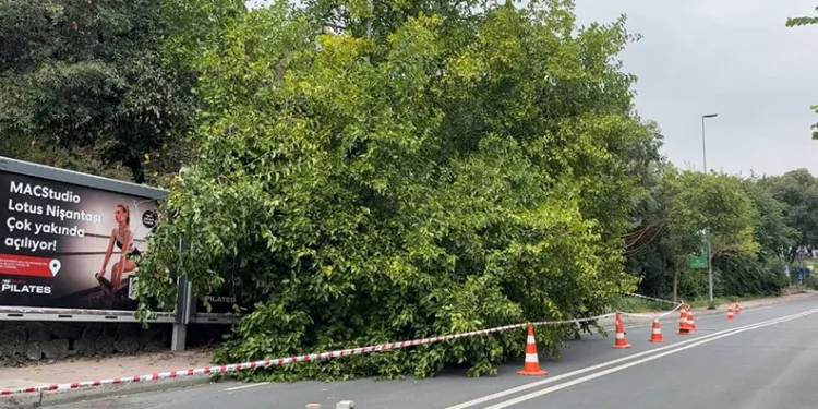 İstanbul’da yağış sonrası ağaçlar devrildi, rögarlar taştı