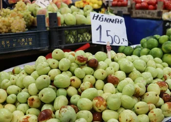 Hünnap meyvesinin faydaları saymakla bitmiyor