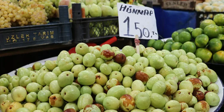 Hünnap meyvesinin faydaları saymakla bitmiyor