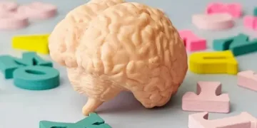 Beynimiz kaç yaşında?