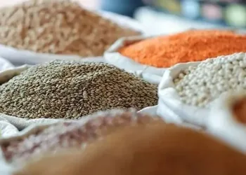 TMO’dan rekor hububat alımı