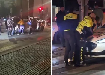 Bursa’da yolunu şaşıran tilki evin çatısına çıktı