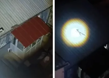 Bursa’da yolunu şaşıran tilki evin çatısına çıktı