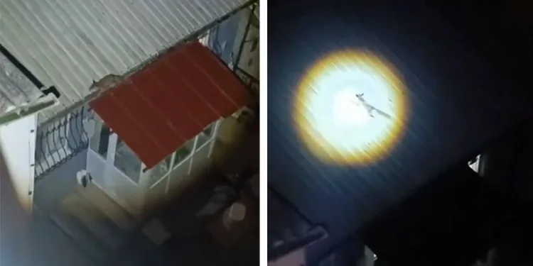 Bursa’da yolunu şaşıran tilki evin çatısına çıktı