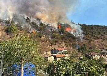 Büyükorhan’da orman yangını: Ekipler bölgeye sevk edildi