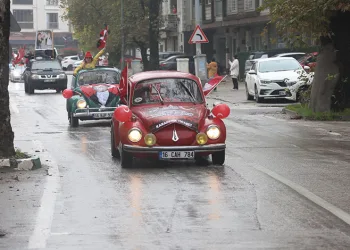 Bursa’da aç kalan domuz Mudanya sahiline indi