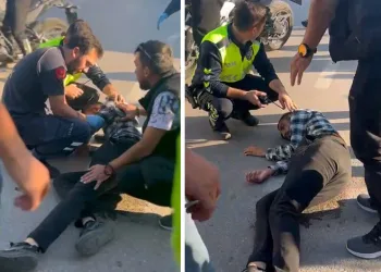 Botanik nikah ve etkinlik salonlarında çalışmalar tüm hızıyla devam ediyor