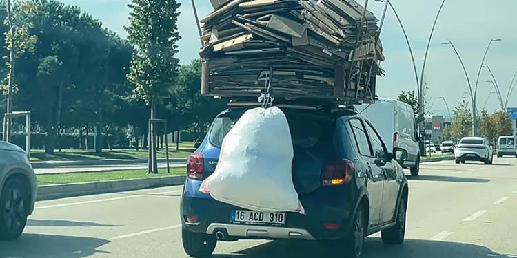 Bursa’da yolunu şaşıran tilki evin çatısına çıktı