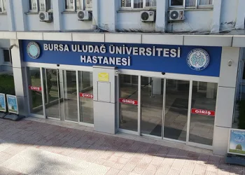 Nilüfer’de sahipsiz hayvanlar için “Umut Ağacı” açıldı
