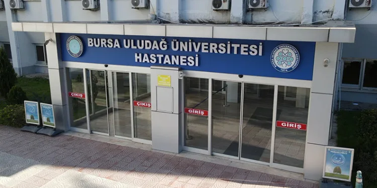 Nilüfer’de sahipsiz hayvanlar için “Umut Ağacı” açıldı