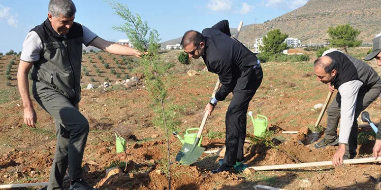 Silifke’de Şehit Savcı Mehmet Selim Kiraz Hatıra Ormanı yeniden yeşilleniyor