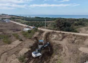 Uludağ’da aç kalan ayı yemek aradı
