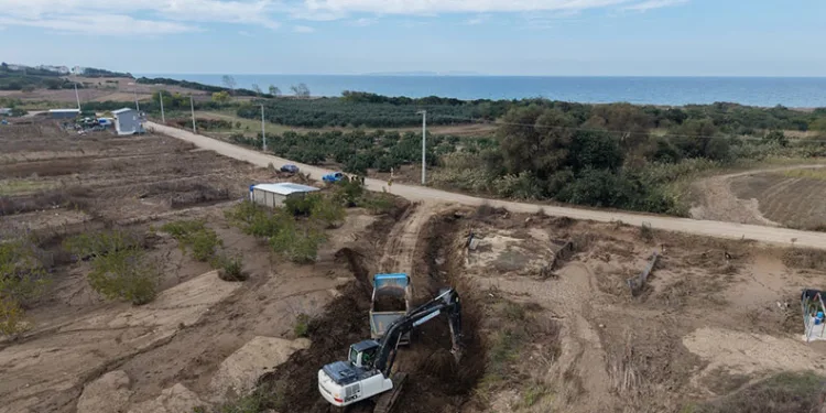 Uludağ’da aç kalan ayı yemek aradı