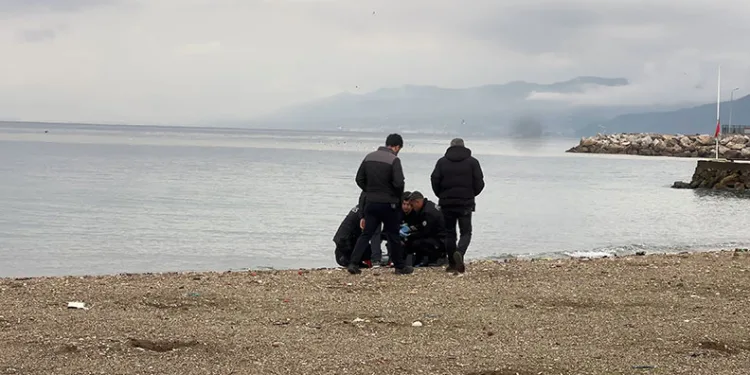 Tır ile kamyonet kafa kafaya çarpıştı: 2 ağır yaralı