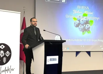 Tır ile kamyonet kafa kafaya çarpıştı: 2 ağır yaralı