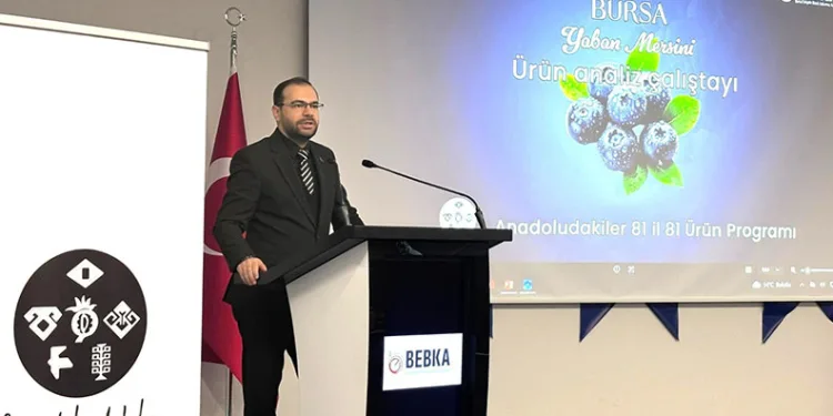 Tır ile kamyonet kafa kafaya çarpıştı: 2 ağır yaralı