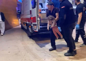Uludağ’da aç kalan ayı yemek aradı
