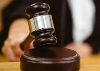 Uludağ’da aç kalan ayı yemek aradı