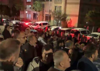 Uludağ’da aç kalan ayı yemek aradı