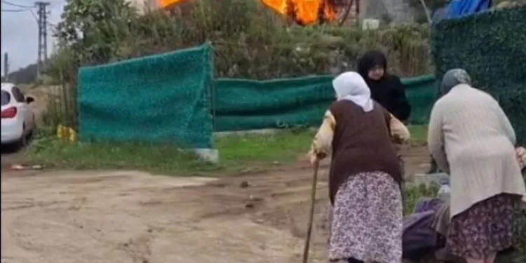 İki otomobil kafa kafaya çarpıştı: 5 yaralı
