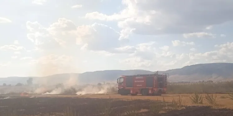 İki otomobil kafa kafaya çarpıştı: 5 yaralı