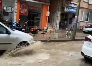 Seyir halindeki kamyonetin lastiği yandı