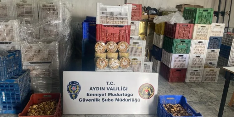 Seyir halindeki kamyonetin lastiği yandı